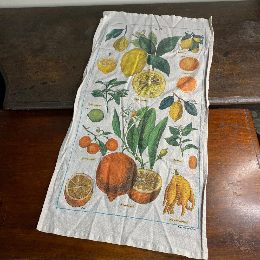Citrus Printed Tapestry Flag, Tea Dish Towel